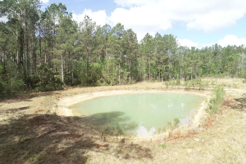 Shulerville Farm 45 Acres