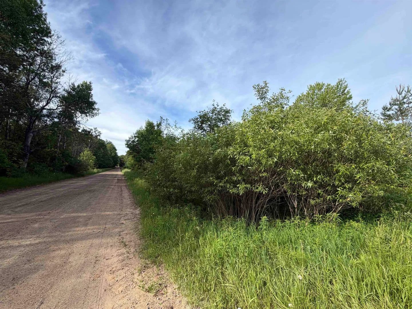 Vacant Land in Lake - Lake, Michigan, 48632