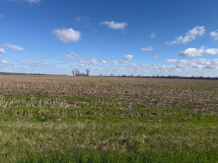 AR - Ashley and Chicot 1044 acres +/-
