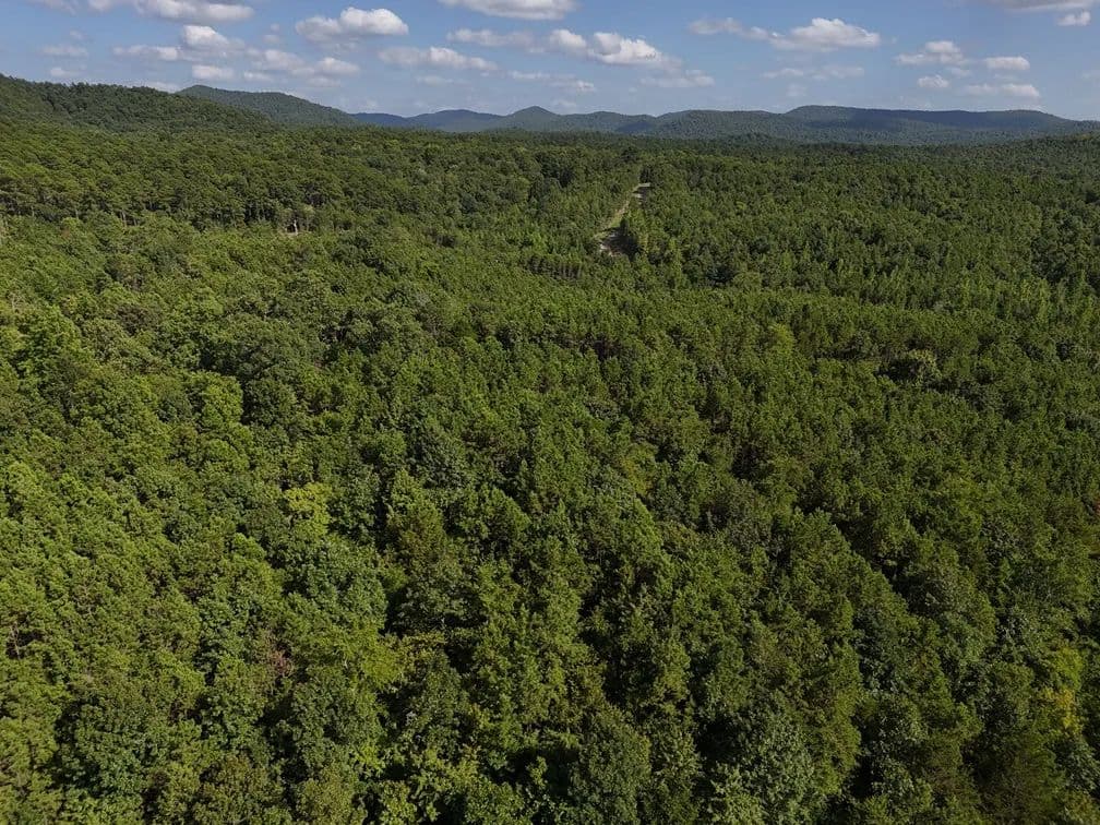 Land -Single Family Acreage in Mena - Mena, Arkansas, 71953