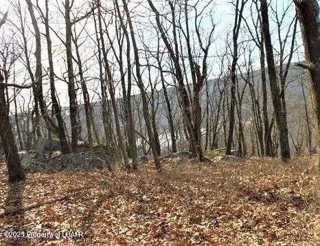 Lots & Land-Other in Hazle Twp