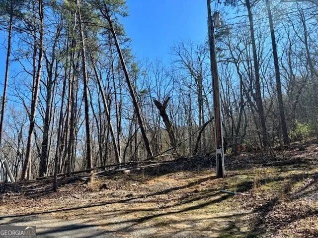 Property from 125 Gum Wood Court - KW