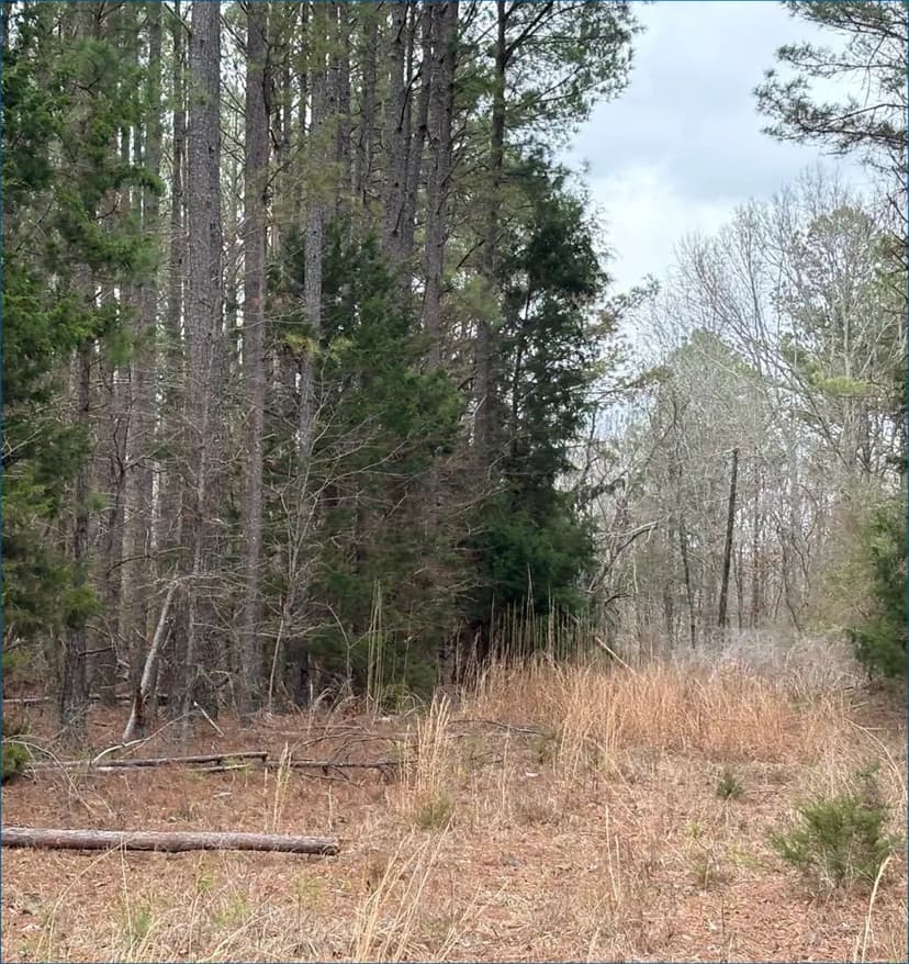 25 Acres in Attala County in Kosciusko, MS