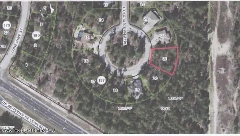 Vacant Land in Homosassa - Homosassa, Florida, 34446