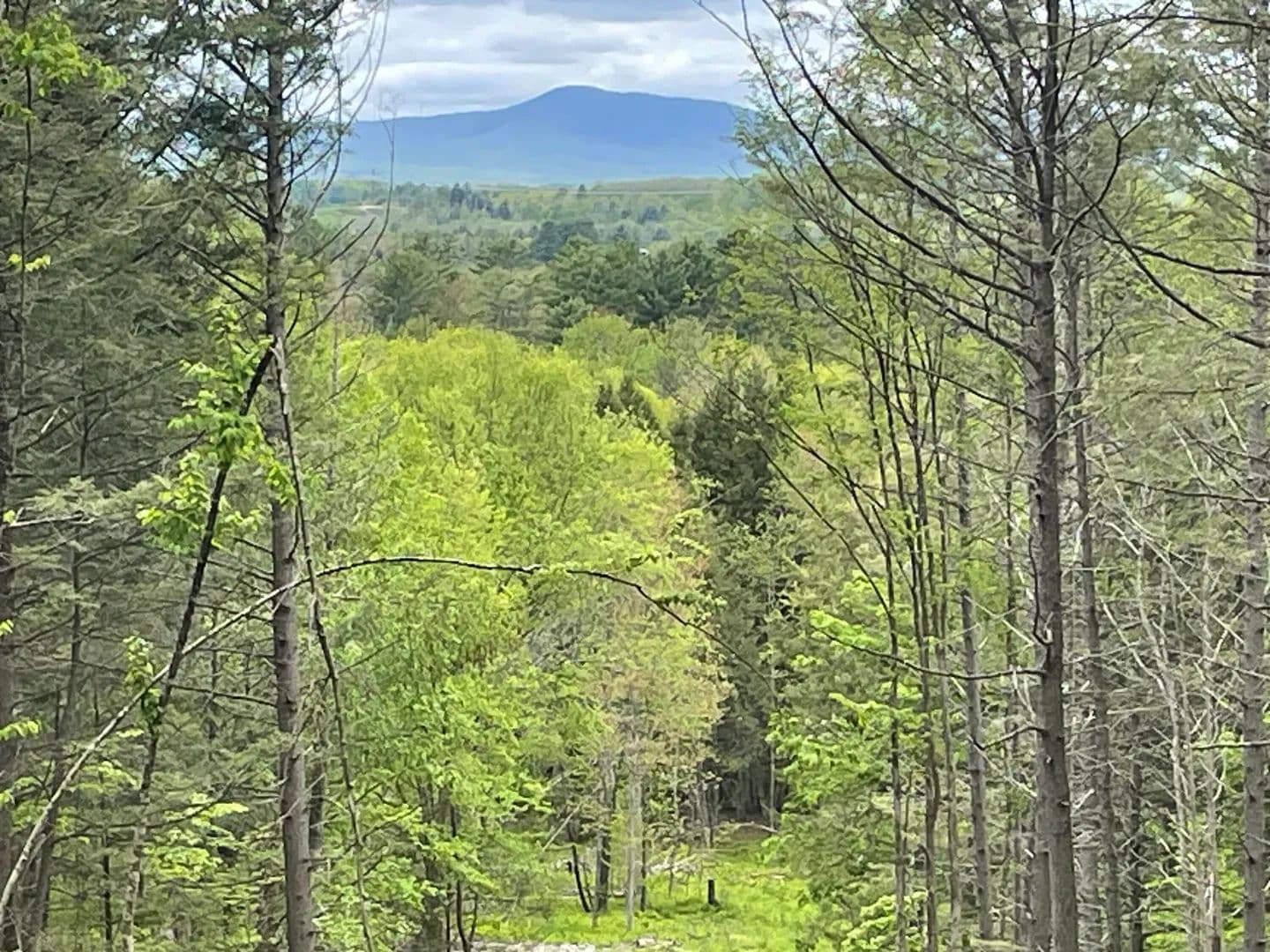 87 Acres of Land for Sale in Chesterville, Maine - Chesterville, Maine, 04938