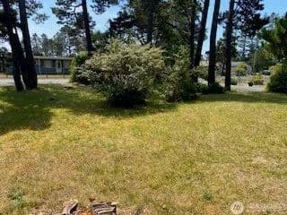 Vacant Land in Ocean Park - Ocean Park, Washington, 98640