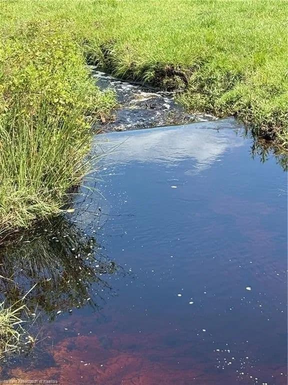 Lots & Land-Other in Venus