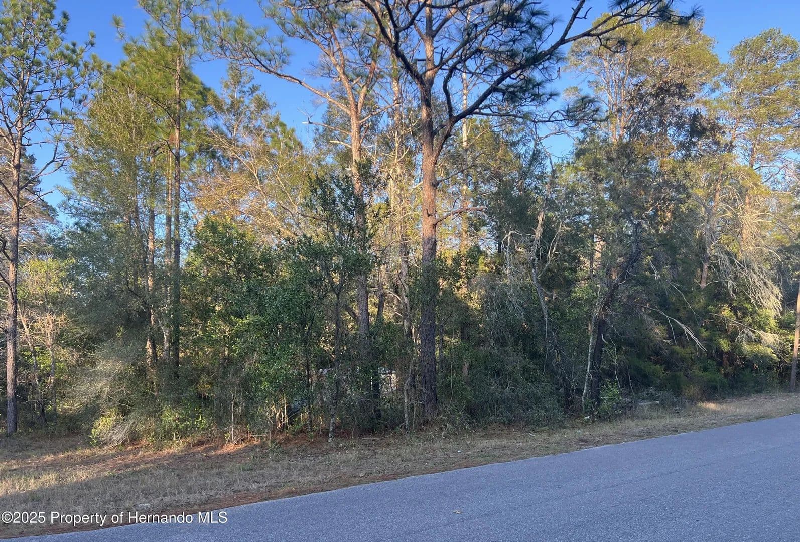 Vacant Land in Brooksville - Brooksville, Florida, 34604