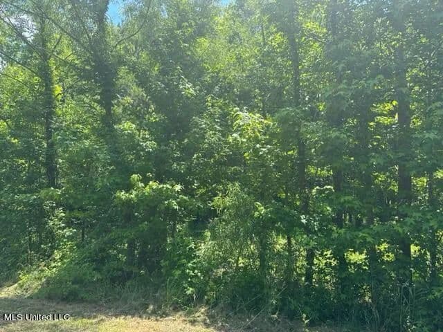 Property from Rolling Oaks Lane - KW