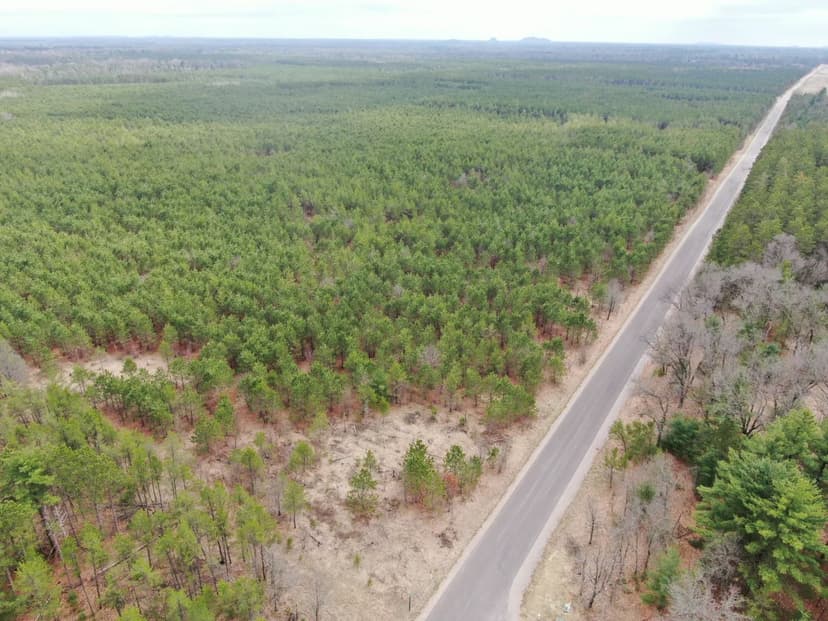 80± acre timber tract in the heart of northern Adams County