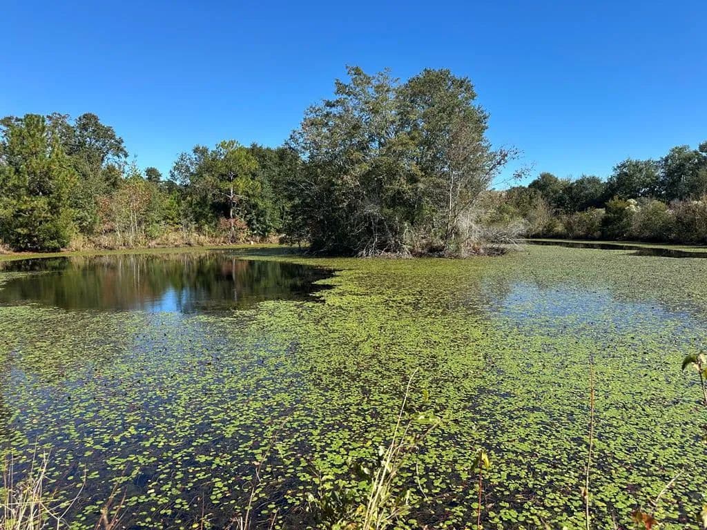 Lots & Land-Other in Sumner - Sumner, Georgia, 31789