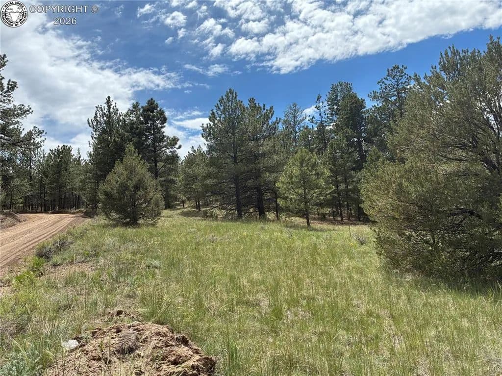 Property from 891 Driftwood Road - KW - Westcliffe, Colorado, 81252