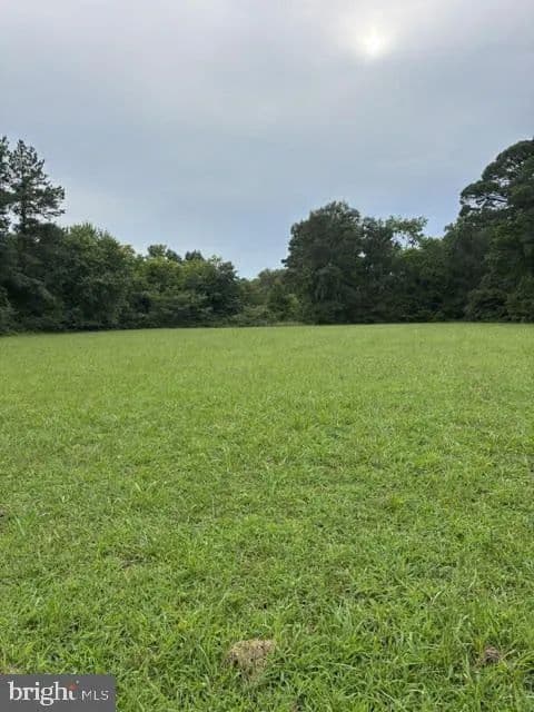 Vacant Land in East New Market - East New Market, Maryland, 21631