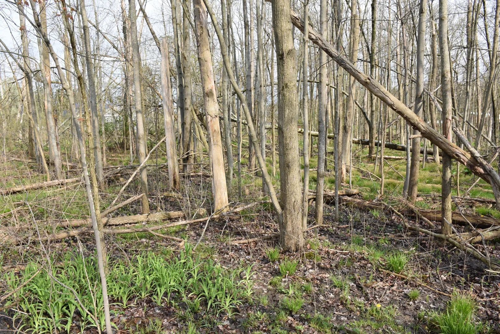 Vacant Land (0-10 Acres) in Meadville - Meadville, Pennsylvania, 16335