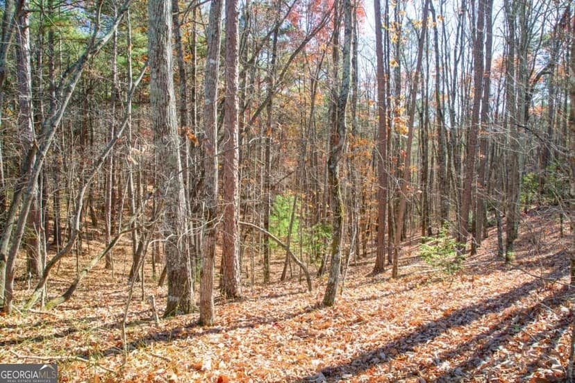 Property from 119 Waldrip Drive - KW