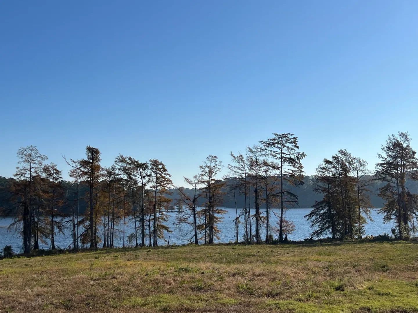 Lots & Land-Other in Many - Many, Louisiana, 71449