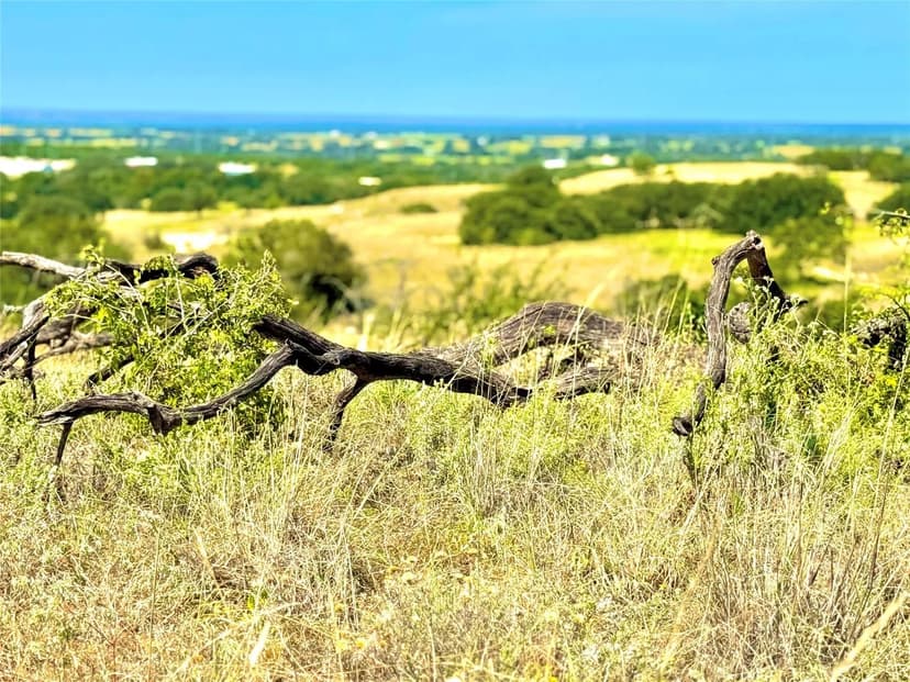 Property from 80 E FM 572 - KW