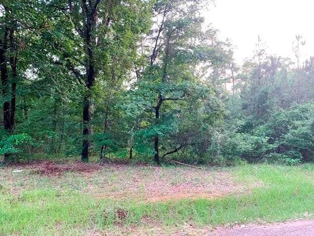 Land -Agricultural (Not Zoned) in Camden - Camden, Arkansas, 71701
