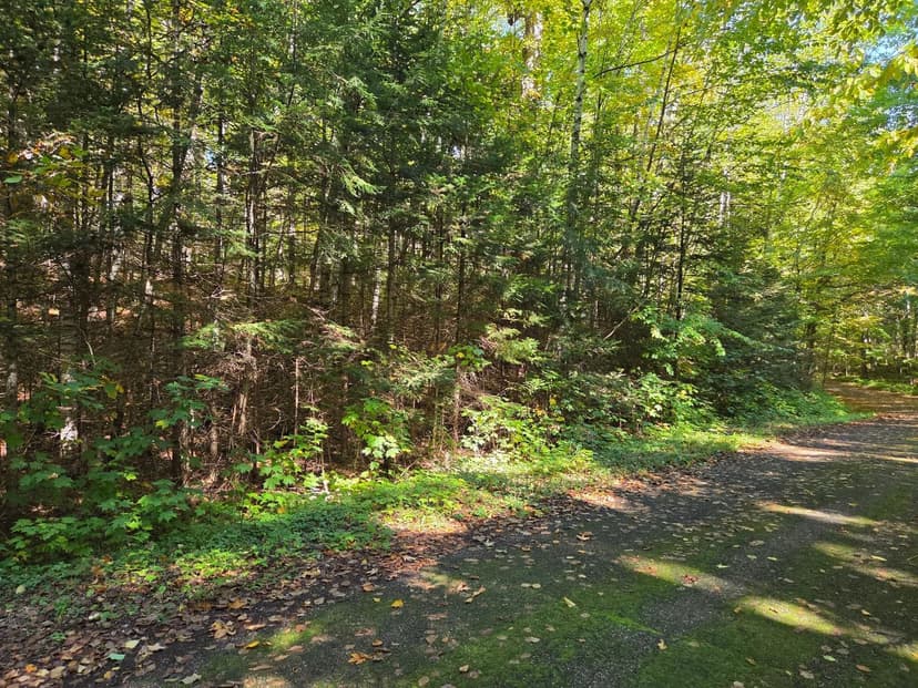 Land -Single Family Acreage in Presque Isle