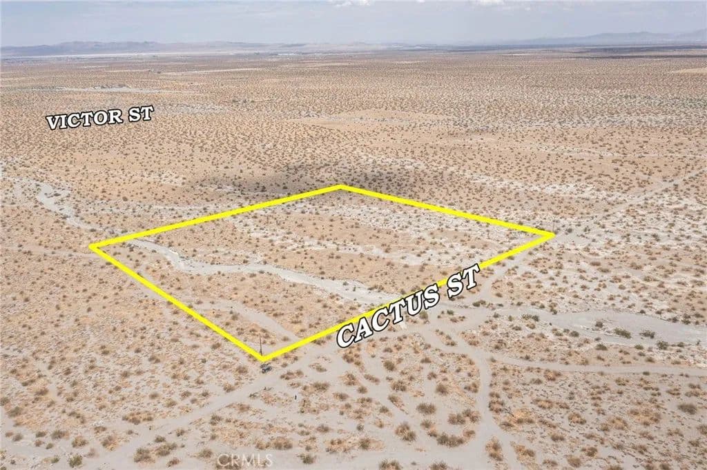 Vacant Land in Pinon Hills - Pinon Hills, California, 92372