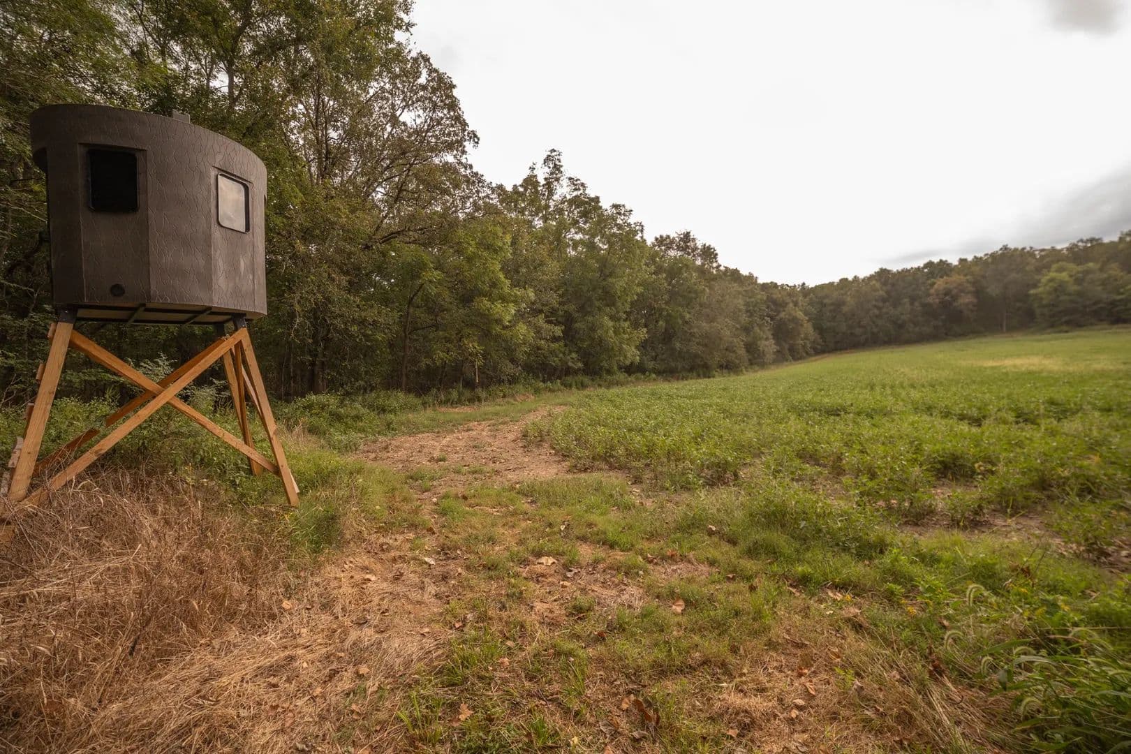 Premier 40±-Acre Hunting Property – Montgomery County - Bellflower, Missouri, 63333