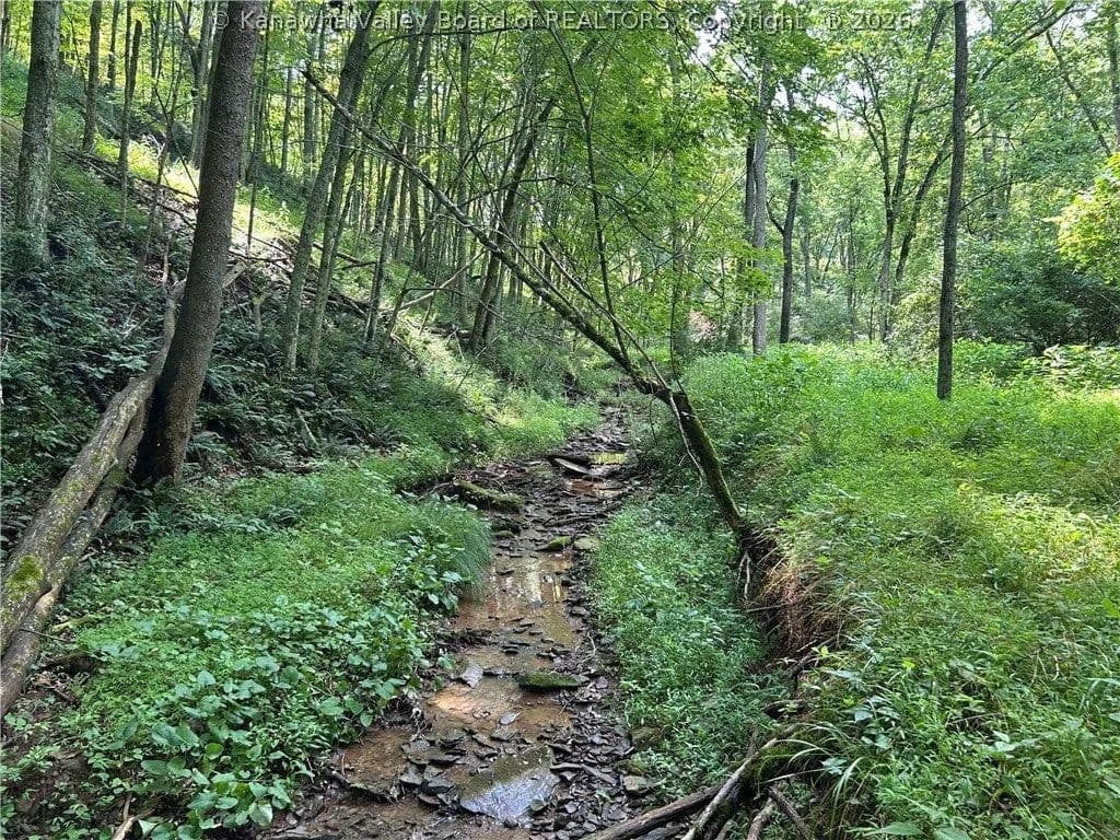Lots & Land-Other in Spencer - Spencer, West Virginia, 25276