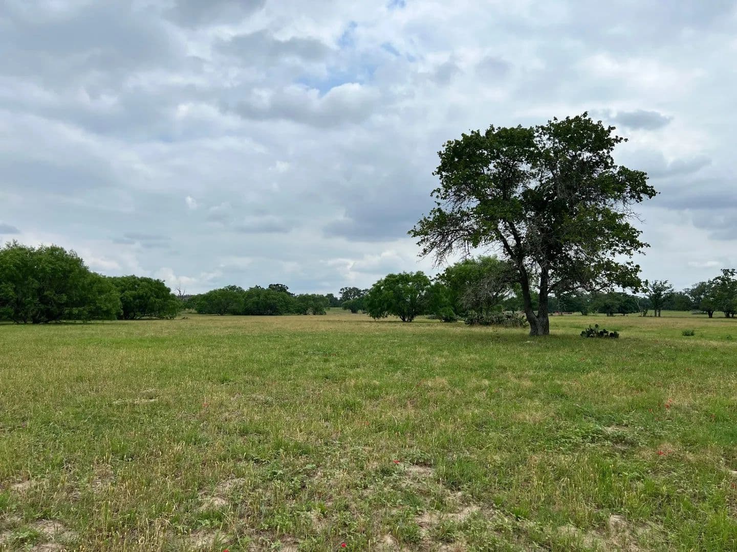 9.64 Acres of Land for Sale in Luling, TX - Luling, Texas, 78648