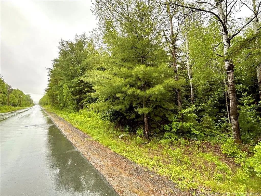 Land for Sale in Miramichi, NB - land for sale