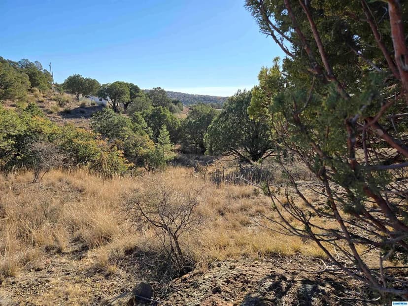 Vacant Land in Silver City