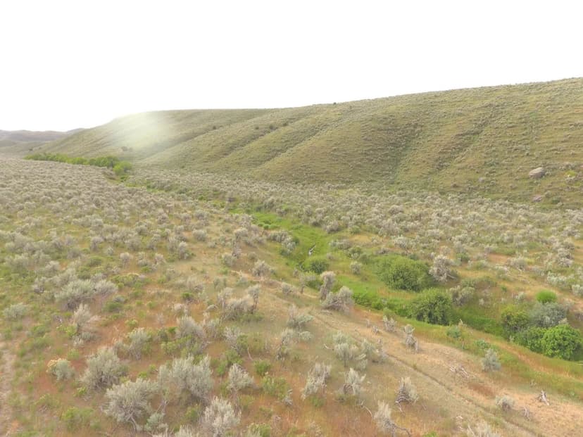 Shirley Creek Ranch