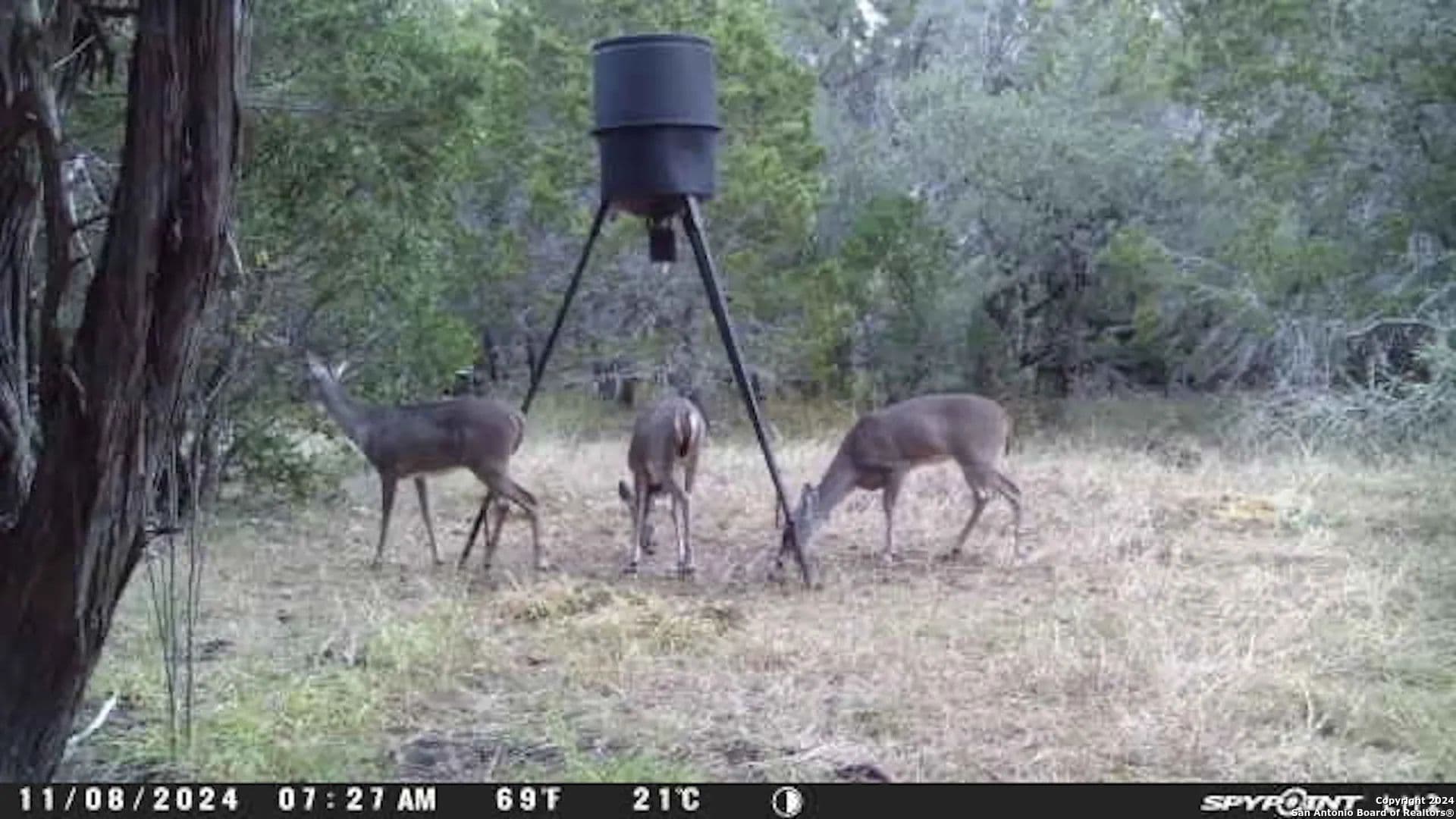Land for Sale in Hondo, TX - Hondo, Texas, 78861