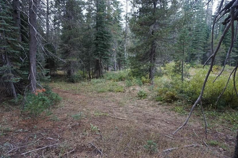 Vacant Land in Bucks Lake