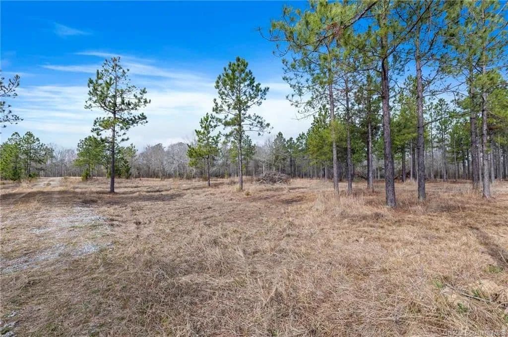Lots & Land-Other in Ragley - Ragley, Louisiana, 70657