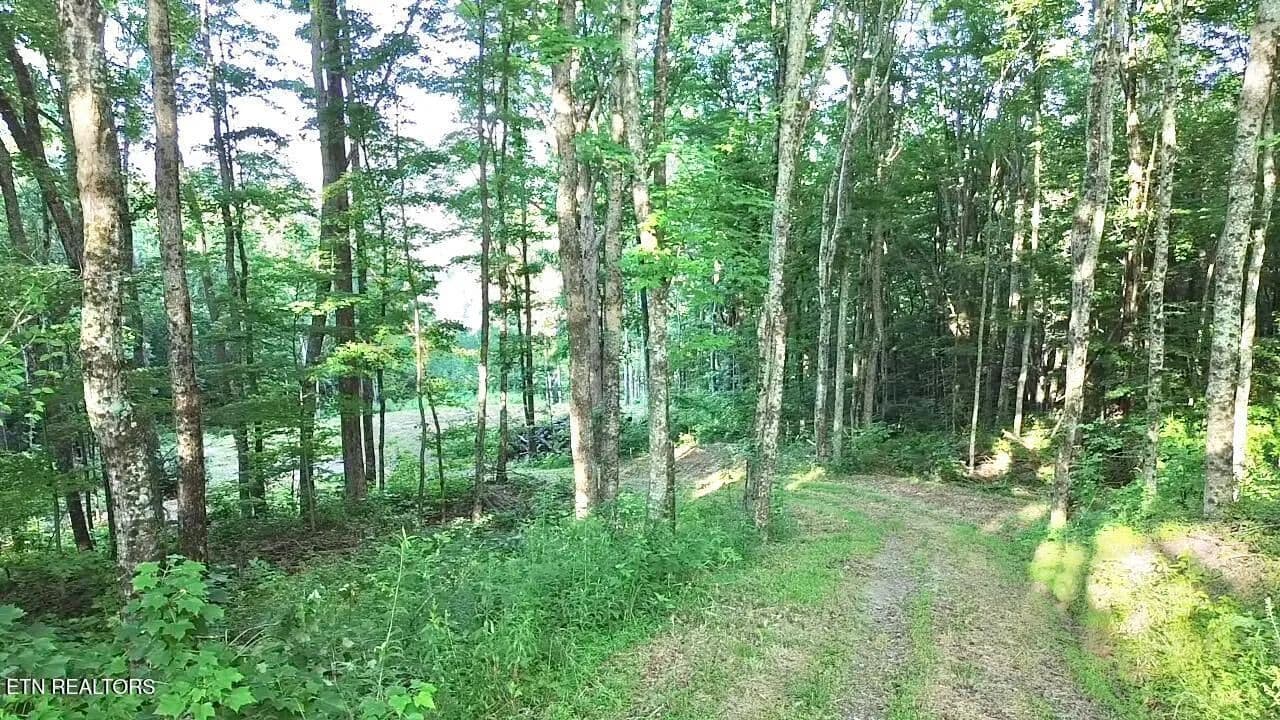 10 Acres of Land for Sale in Pioneer, Tennessee - Pioneer, Tennessee, 37847