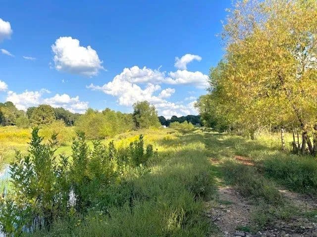 Property from 1250 Elder Branch Road - KW