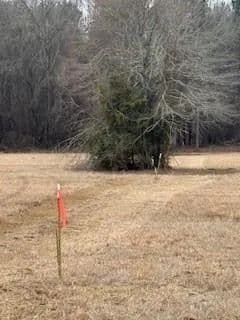 Vacant Land in Haughton - Haughton, Louisiana, 71037