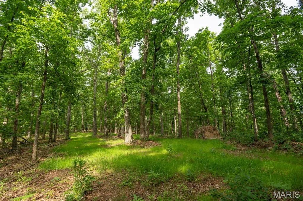 Property from TBD Wayne - KW - Piedmont, Missouri, 63957