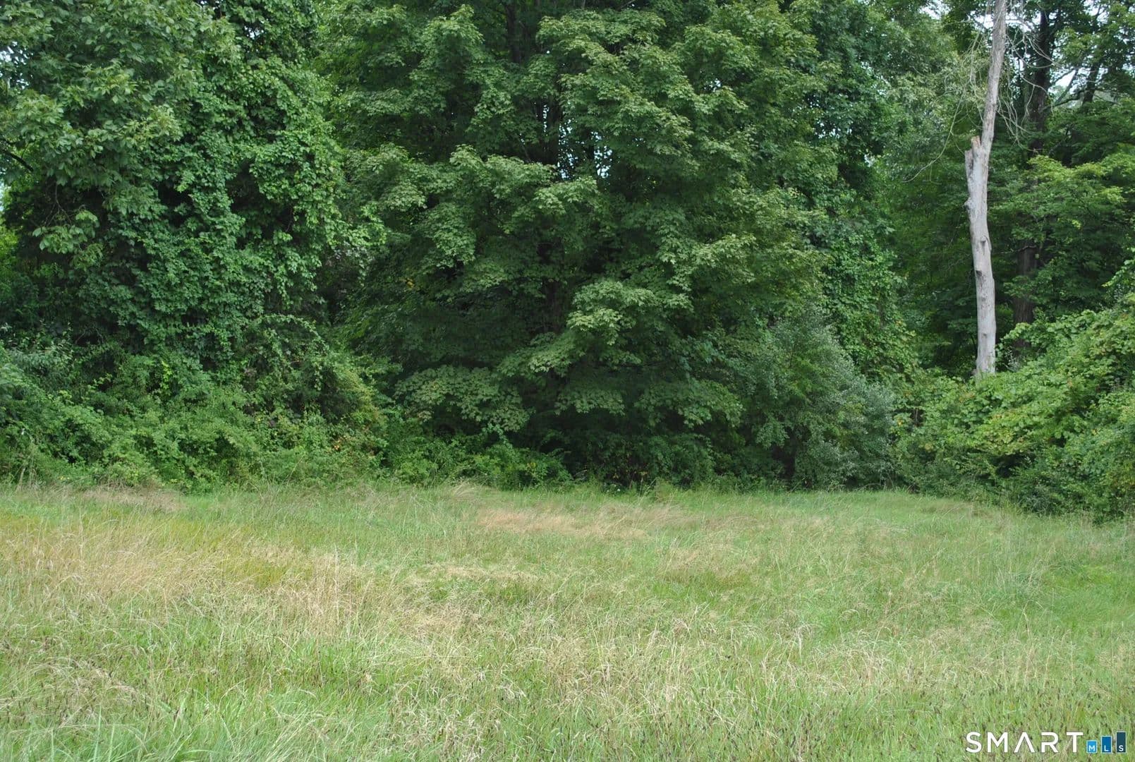 Vacant Land in New Milford - New Milford, Connecticut, 06776