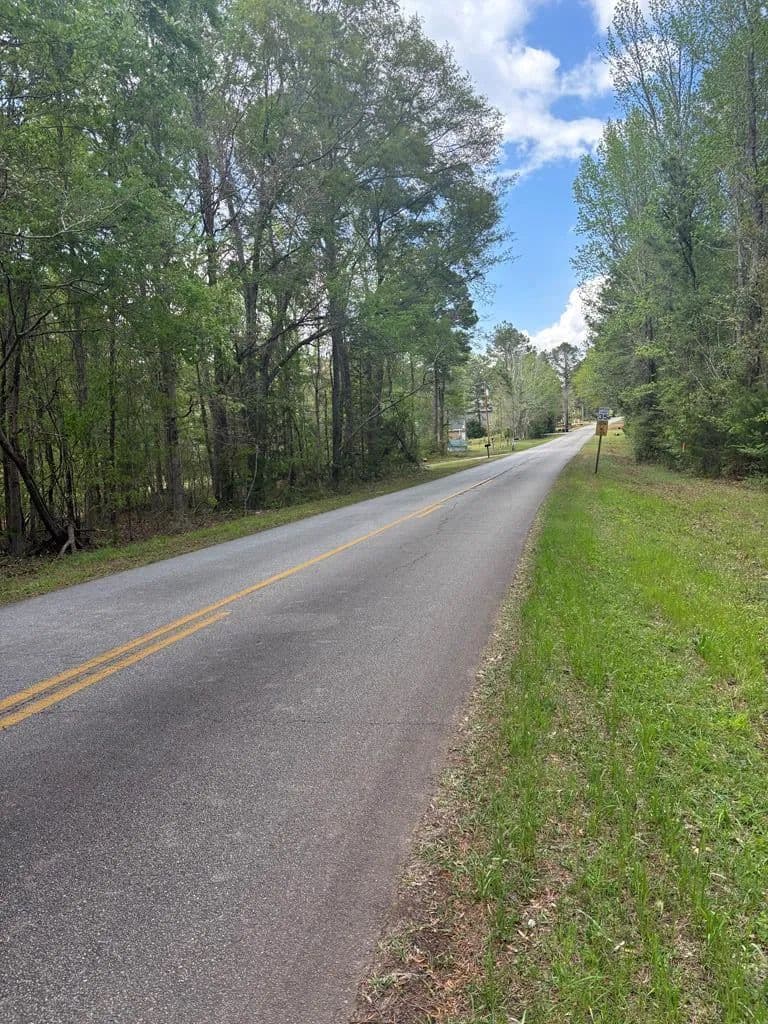 Vacant Land in Hamilton - Hamilton, Georgia, 31811