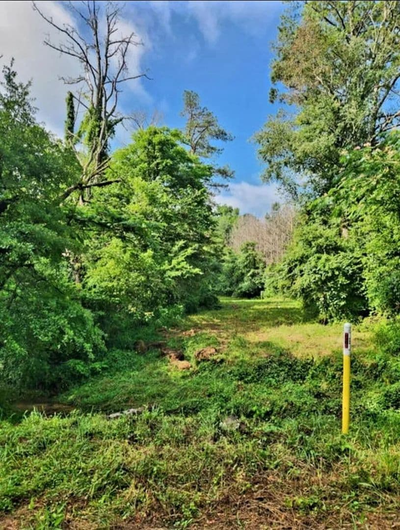 0.36 Acres of Land for Sale in Chickamauga, GA - Chickamauga, Georgia, 30707