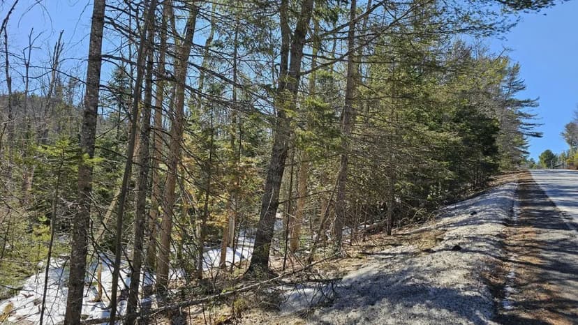 Land -Single Family Acreage in Holden