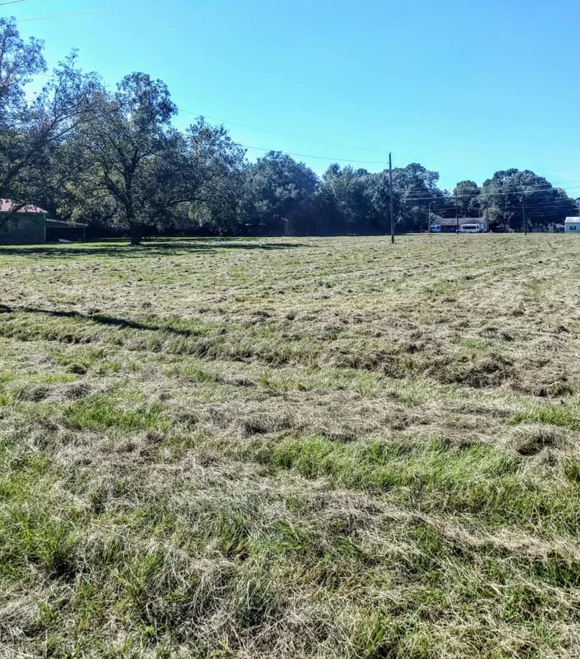 Property from 00 Moss Street - KW