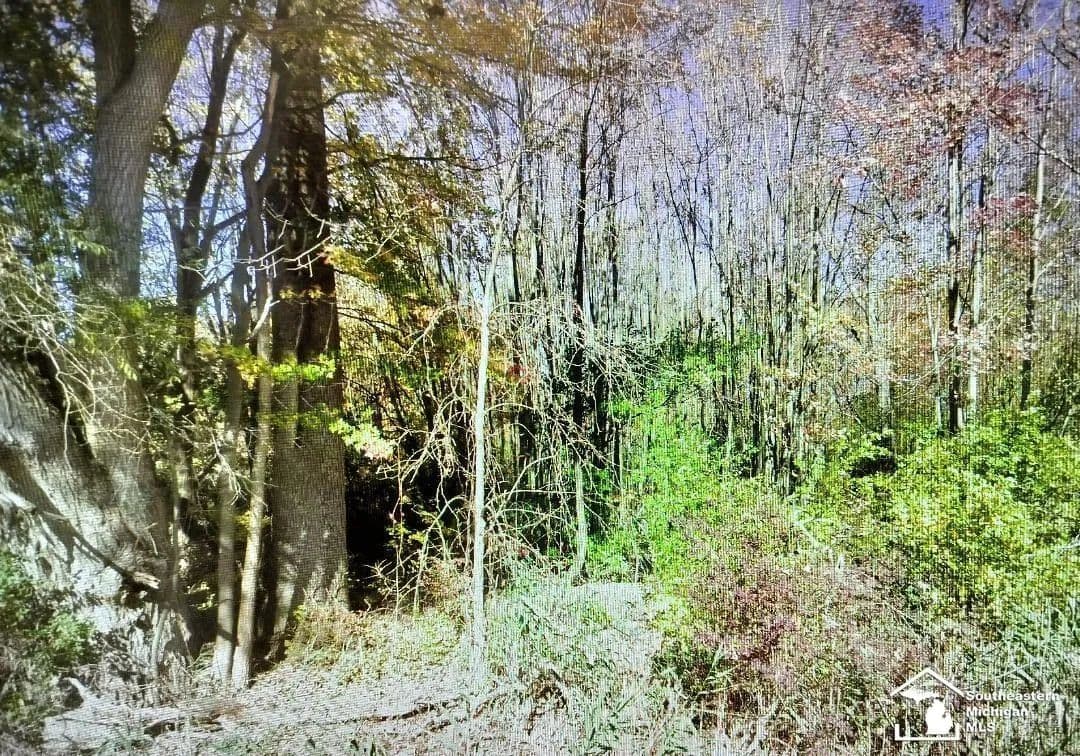 Lots & Land-Other in Van Buren Twp - Michigan, 48111