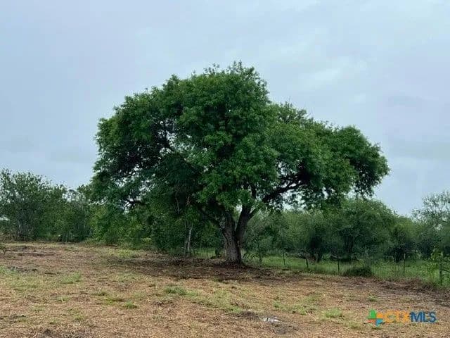 Vacant Land in Victoria - Victoria, Texas, 77905