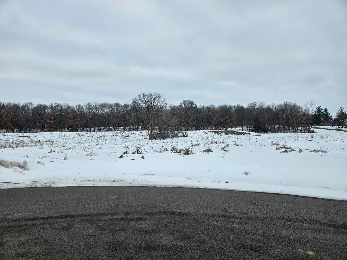 Lots & Land-Other in Saint Stephen - Saint Stephen, Minnesota, 56375