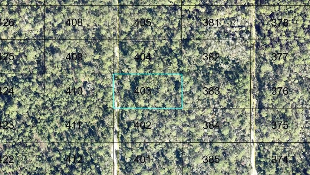 Vacant Land in Hastings - Hastings, Florida, 32145