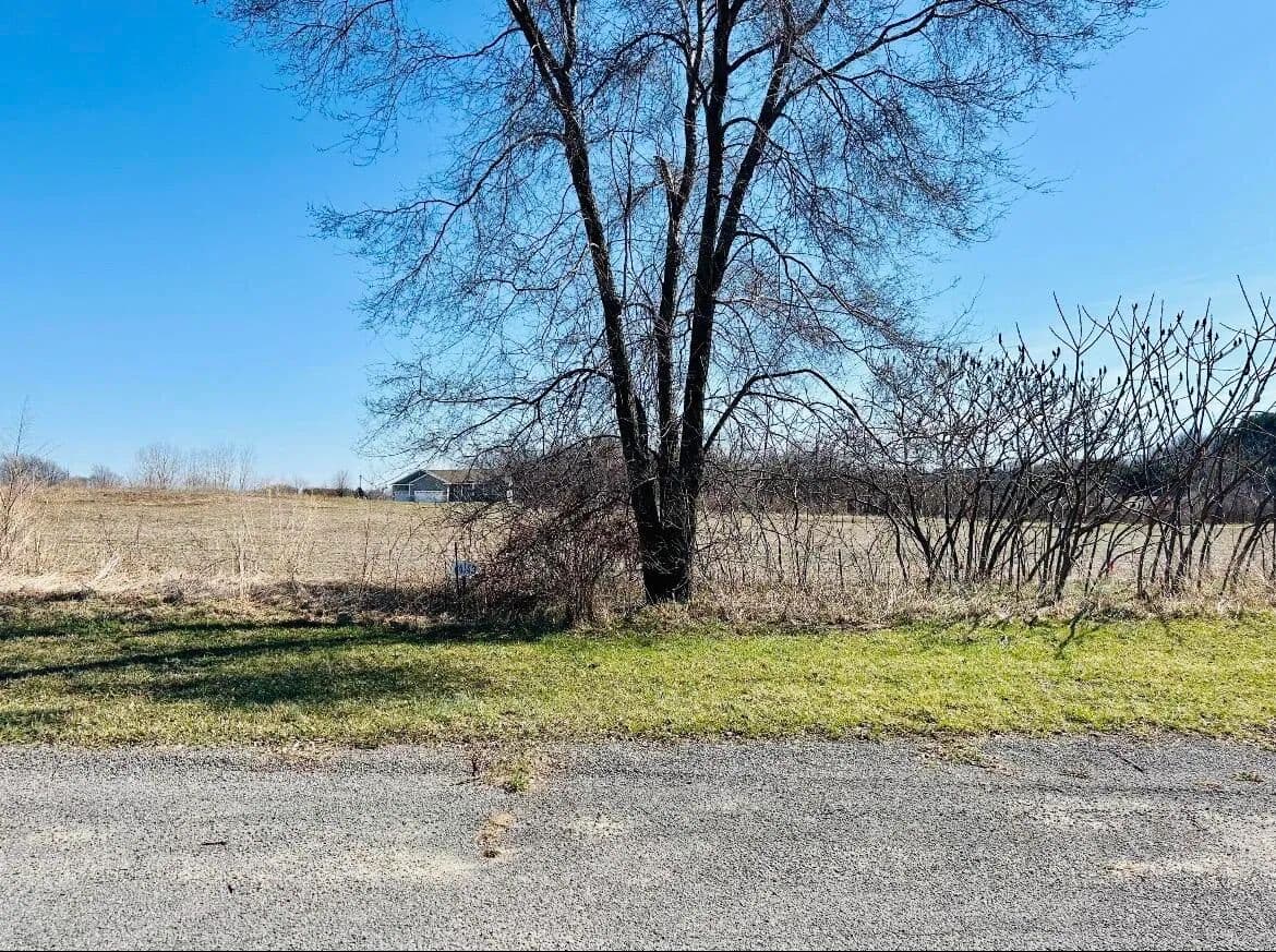 Vacant Land in Berrien Springs - Berrien Springs, Michigan, 49103