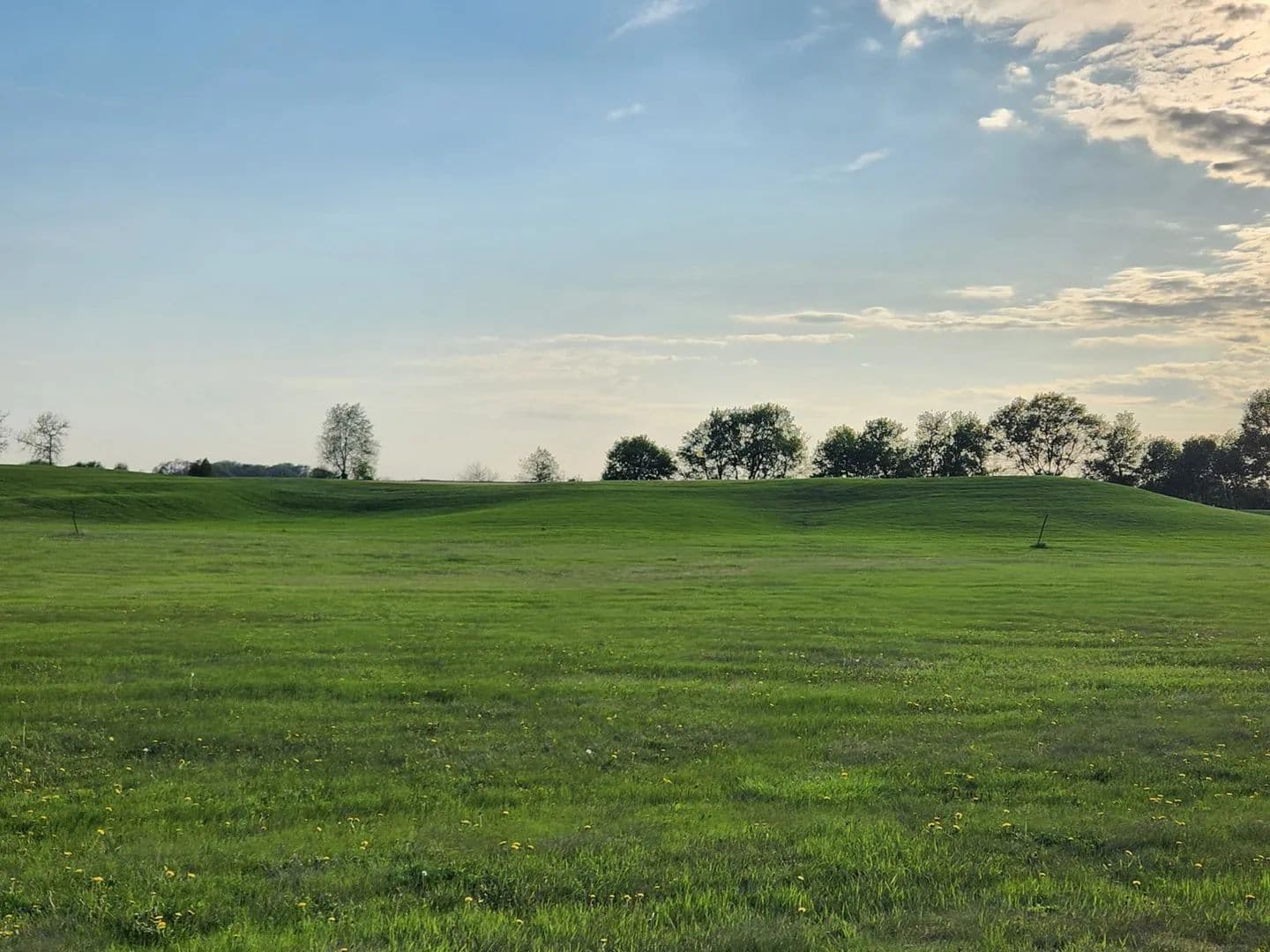 Lots & Land-Other in Sheffield - Sheffield, Iowa, 50475