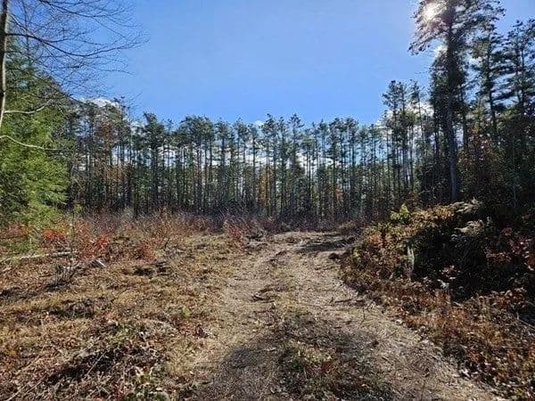 Lots & Land-Other in Orange - Orange, Massachusetts, 01364