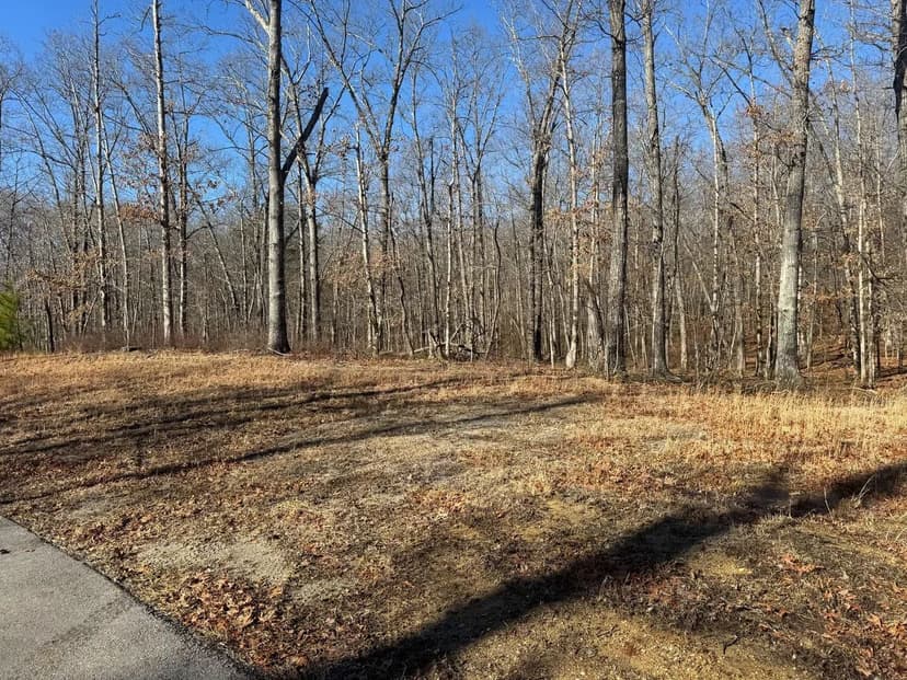 Mountaintop Retreat Lot in Cooleys Rift - Monteagle, TN